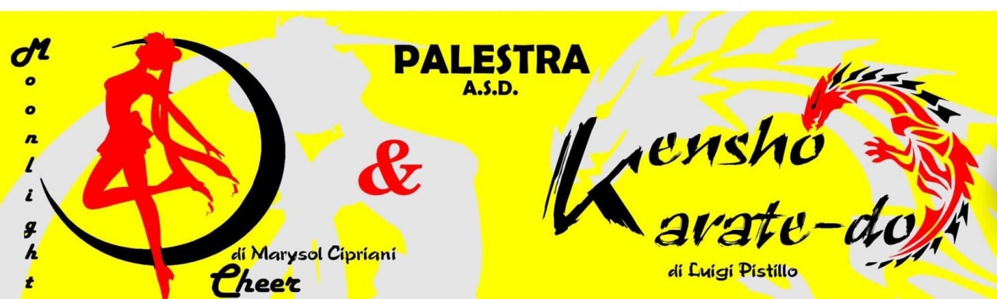 Copertina di Palestra Moonlight Cheerleaders & Kensho Karate-do, club presente tra le palestre ed i centri sportivi associati a Speffy