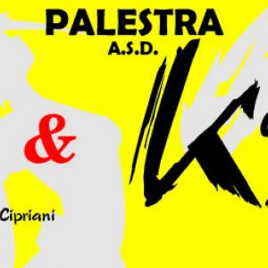 Logo di Palestra Moonlight Cheerleaders & Kensho Karate-do, club presente tra le palestre ed i centri sportivi associati a Speffy