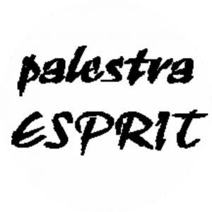 Logo di Palestra Esprit, club presente tra le palestre ed i centri sportivi associati a Speffy